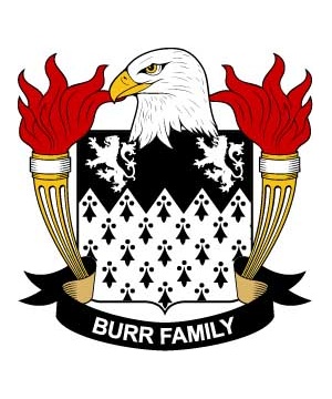 America/B/Burr-Crest-Coat-of-Arms