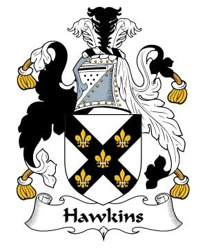 British/H/Hawkins-Crest-Coat-of-Arms