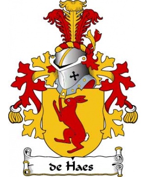 Dutch/D/de-Haes-Crest-Coat-of-Arms