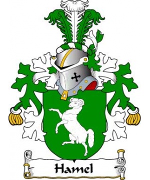 Dutch/H/Hamel-Crest-Coat-of-Arms