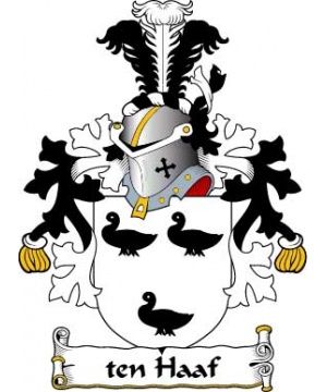 Dutch/H/ten-Haaf-Crest-Coat-of-Arms