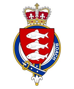 Families-of-Britain/R/Roach-(Ireland)-Crest-Coat-of-Arms