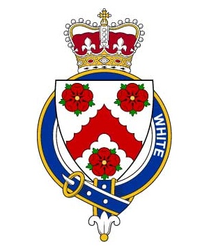 Families-of-Britain/W/White-(Ireland)-Crest-Coat-of-Arms