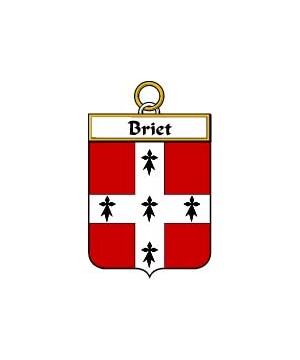 French/B/Briet-Crest-Coat-of-Arms