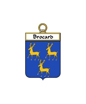 French/B/Brocard-Crest-Coat-of-Arms