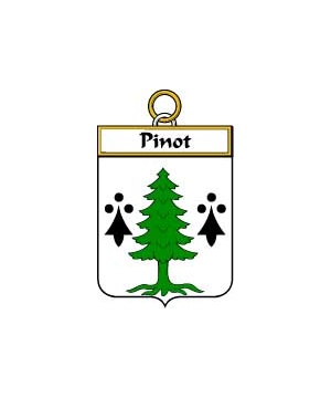 French/P/Pinot-Crest-Coat-of-Arms