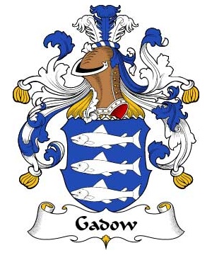 German/G/Gadow-Crest-Coat-of-Arms