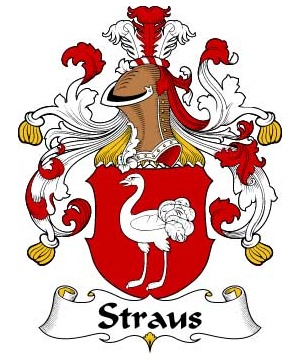 German/S/Straus-Crest-Coat-of-Arms