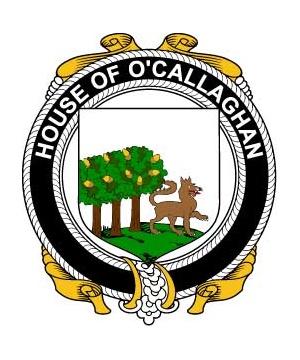 House-of-Ireland/O/OCallaghan-Crest-Coat-Of-Arms