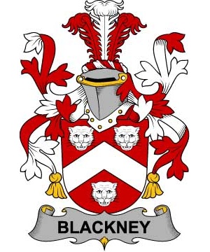 Irish/B/Blackney-Crest-Coat-of-Arms