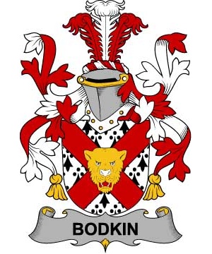 Irish/B/Bodkin-Crest-Coat-of-Arms