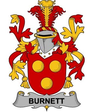 Irish/B/Burnett-Crest-Coat-of-Arms