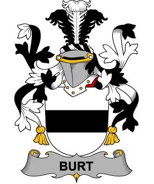 Irish/B/Burt-or-Birt-Crest-Coat-of-Arms