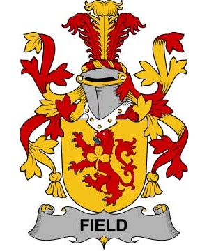 Irish/F/Field-Crest-Coat-of-Arms