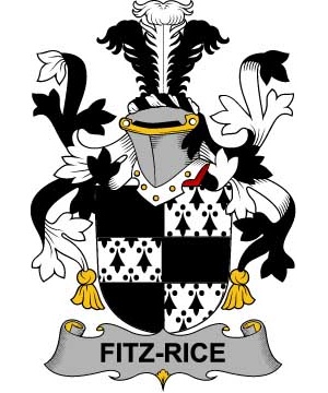 Irish/F/Fitz-Rice-Crest-Coat-of-Arms