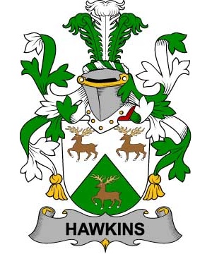 Irish/H/Hawkins-or-Haughan-Crest-Coat-of-Arms