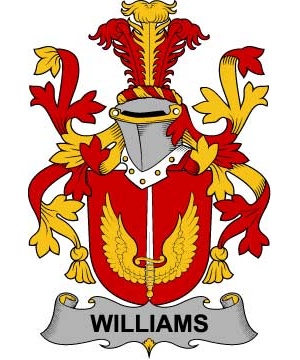 Irish/W/Williams-Crest-Coat-of-Arms