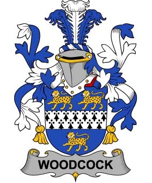 Irish/W/Woodcock-Crest-Coat-of-Arms