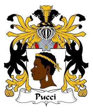 Italian/P/Pucci-Crest-Coat-of-Arms