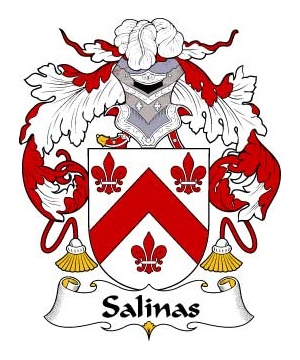 Portuguese/S/Salinas-Crest-Coat-of-Arms