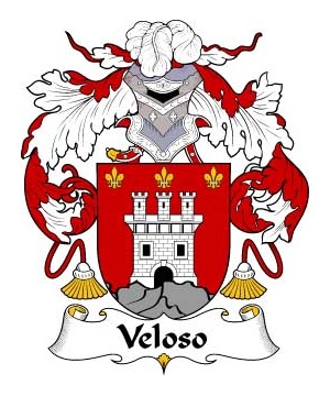 Portuguese/V/Veloso-Crest-Coat-of-Arms