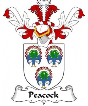 Scottish/P/Peacock-Crest-Coat-of-Arms