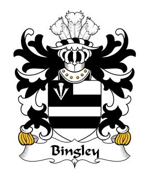 Welsh/B/Bingley-(of-Flint)-Crest-Coat-of-Arms