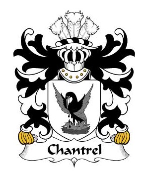Welsh/C/Chantrel-(of-Rhuddlan-Flint)-Crest-Coat-of-Arms
