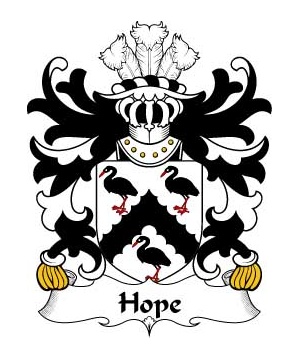 Welsh/H/Hope-(of-Broughton-Flint)-Crest-Coat-of-Arms