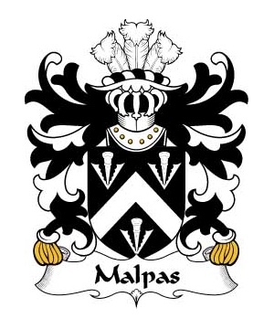 Welsh/M/Malpas-(Sir-David-Descended-from-Owain)-Crest-Coat-of-Arms