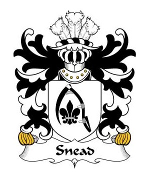 Welsh/S/Snead-(of-Cheshire)-Crest-Coat-of-Arms