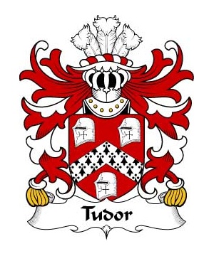 Welsh/T/Tudor-(from-Owain-Tudor)-Crest-Coat-of-Arms