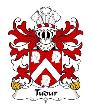 Welsh/T/Tudur-(AB-EDNYFED-FYCHAN)-Crest-Coat-of-Arms