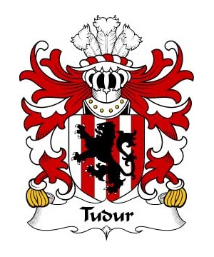 Welsh/T/Tudur-(AP-GRUFFUDD-FYCHAN)-Crest-Coat-of-Arms