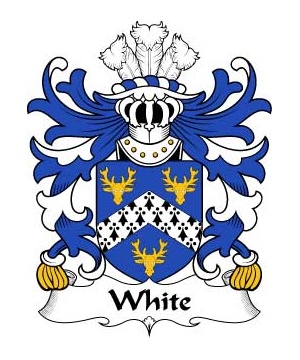 Welsh/W/White-(of-Tenby-Pembrokeshire)-Crest-Coat-of-Arms