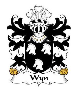 Welsh/W/Wyn-(Cadwaladr-of-Montgomeryshire)-Crest-Coat-of-Arms