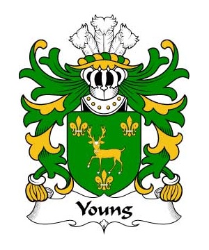 Welsh/Y/Young-(of-Tredrysi-Pembrokeshire)-Crest-Coat-of-Arms